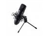 Tascam TM-80 Studio Condenser Microphone